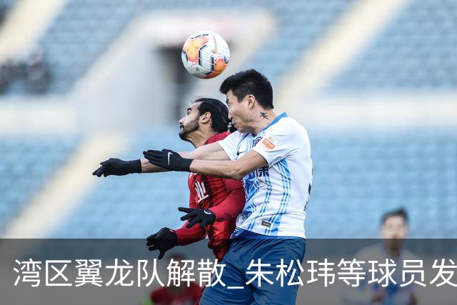 湾区翼龙队解散 朱松玮等球员发布声明维权